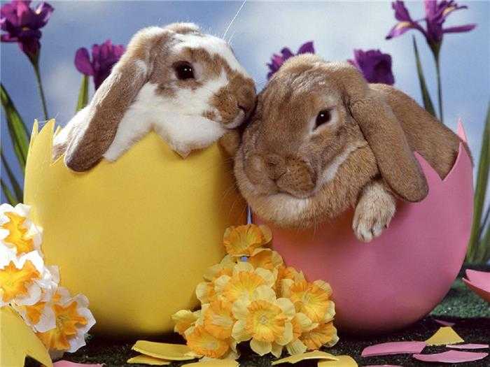 Top 10 Fakten über Ostern interessanter als die Schokolade